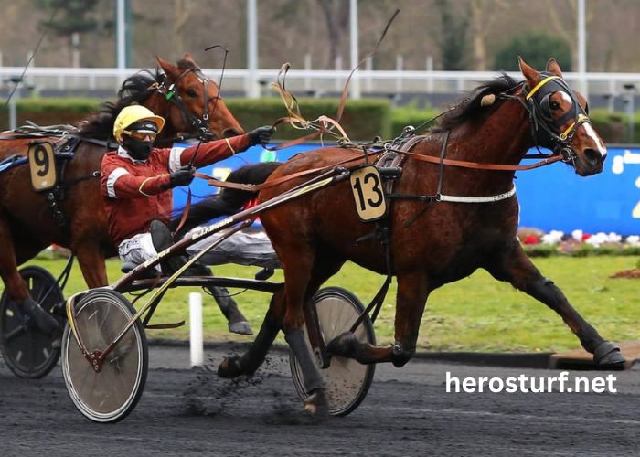 100100 Ordre Turf (3)