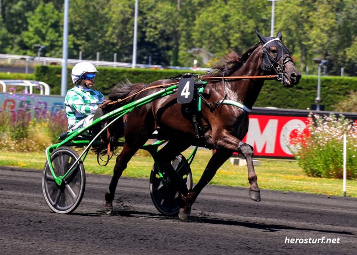 Jolie Turf Gagnant (1)