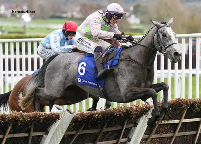 Lebosse Du Turf