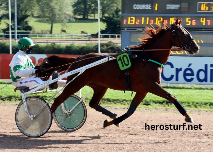 Nanouturf 100 100 Gagnant (1)