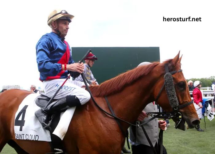 Power Turf Gagnant