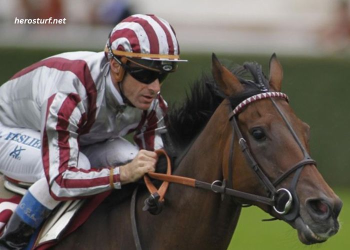 Champion Des Courses