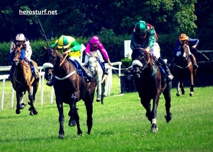 Promo Turf 100 Gratuit