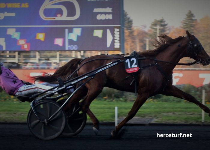 Somboturf Gagnant 1 (1)