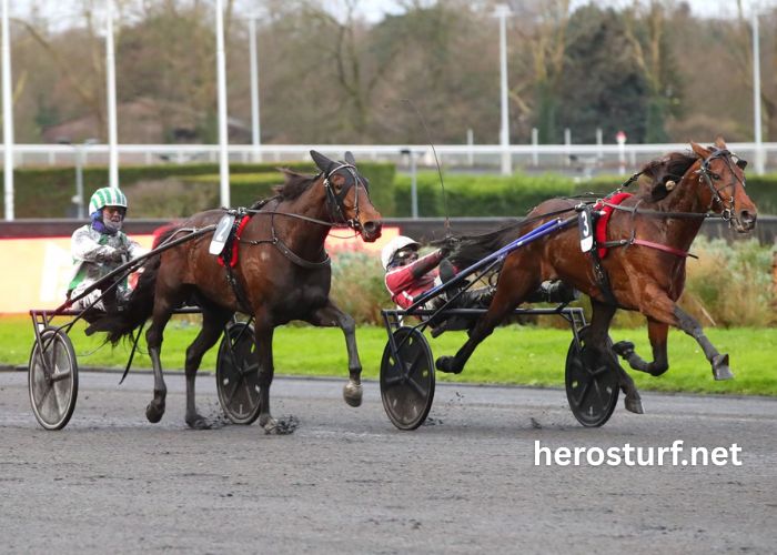 Les 5 Pions Turf (1)
