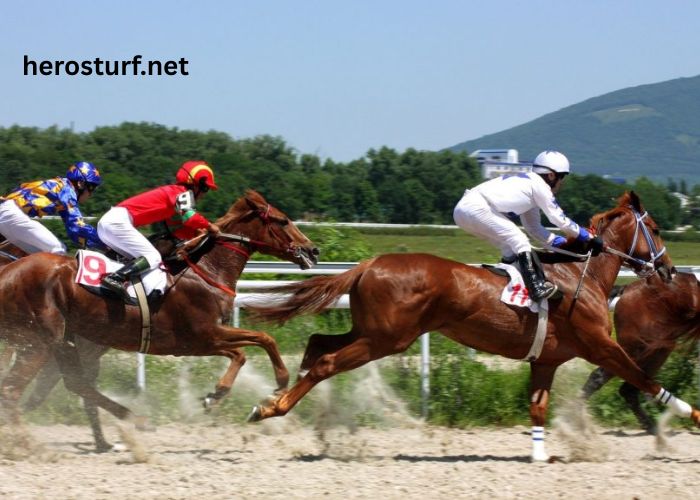 Les Cracks Du Turf (2)