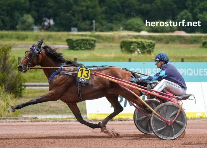 Nivard Guyon Turf (1)