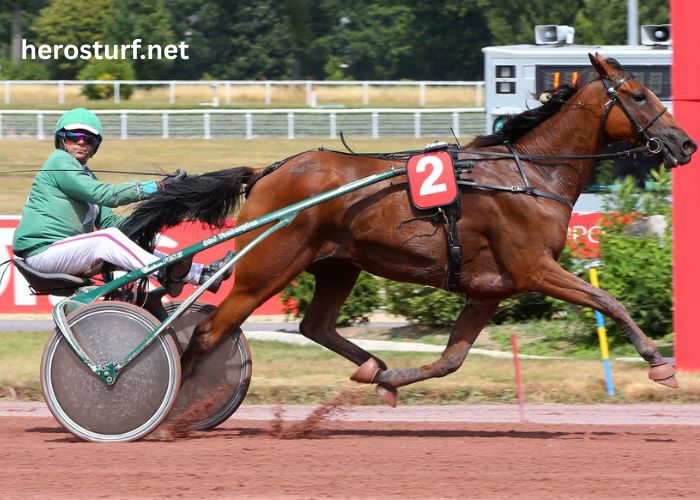 Passage Oblige 100 Gagnant Placé 3 (4)